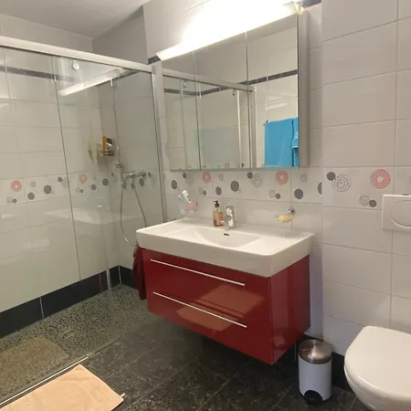 Duplex Au Coeur Du Valais-bains De Appartement