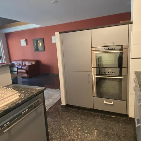 Appartement Duplex Au Coeur Du Valais-bains De