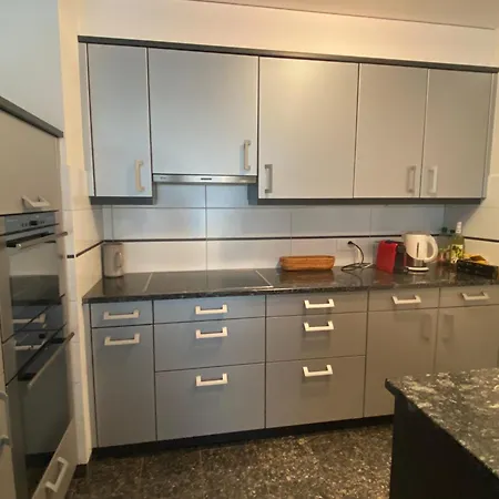Duplex Au Coeur Du Valais-bains De شقة سايلون